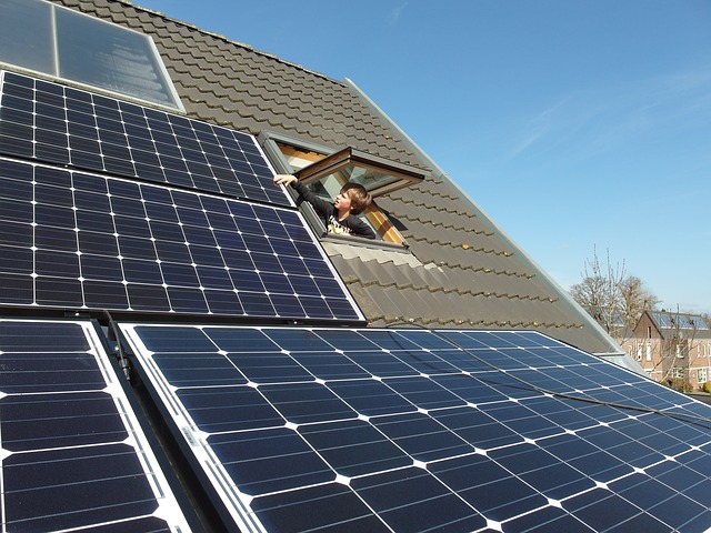 child looking at solar panels